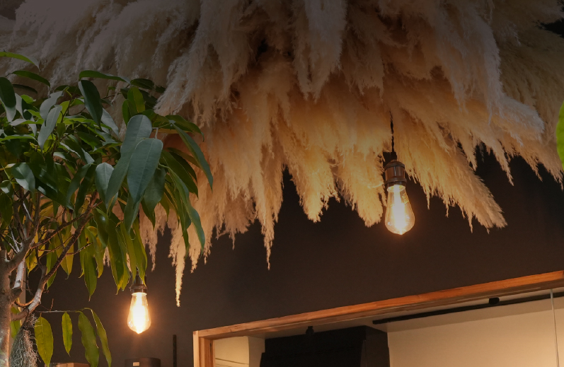 DonaFlower&CAFÉ/sp